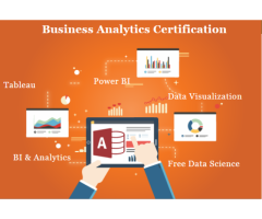 Business Analytics Course in Delhi, 110046. Best Online Live Business Analytics Training in Chennai